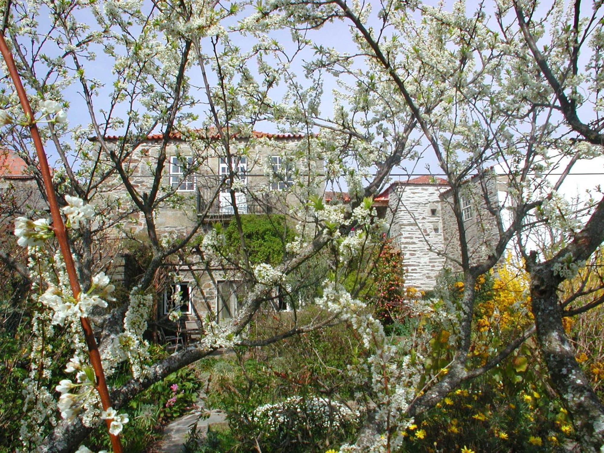 Hotel Mesao Provesende Extérieur photo